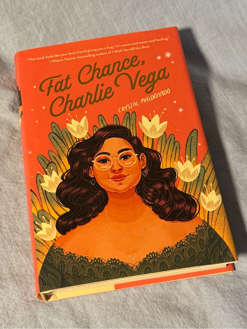 Fat Chance, Charlie Vega by Crystal Maldonado Hardcover